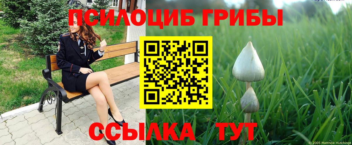 Псилоцибиновые грибы MAGIC MUSHROOMS  Вход с VPN  Галлюциногенные грибы Psilocybe  закладки  Рославль 
