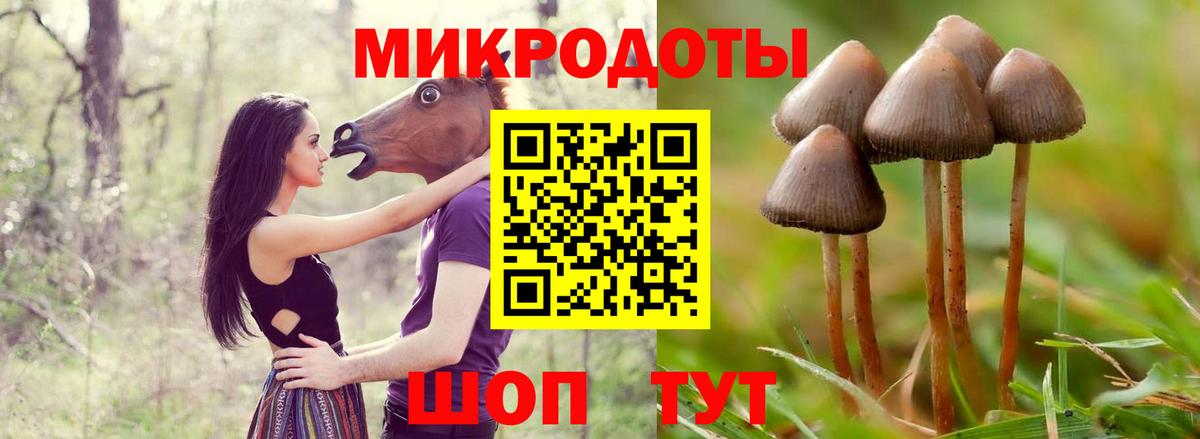 Галлюциногенные грибы Magic Shrooms Рославль